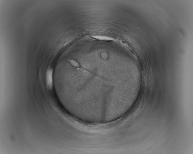 X0000112010028200908241504