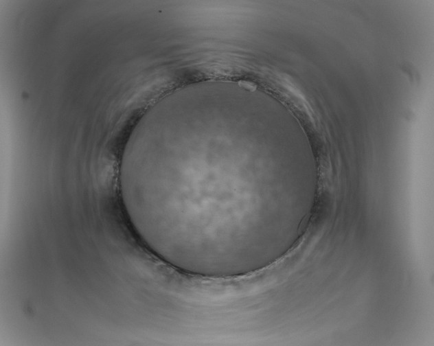 X0000112010029200908241504