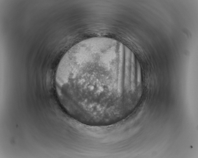 X0000112010030200908241504