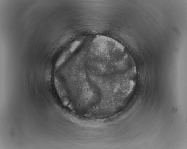 X0000112010032200908241504