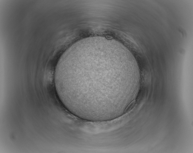 X0000112010033200908241504