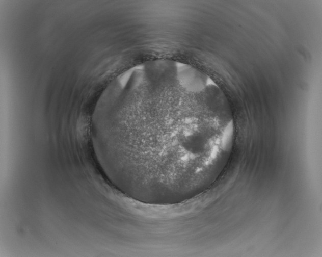 X0000112010034200908241504
