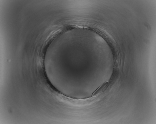 X0000112010035200908241504