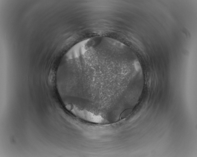 X0000112010036200908241504