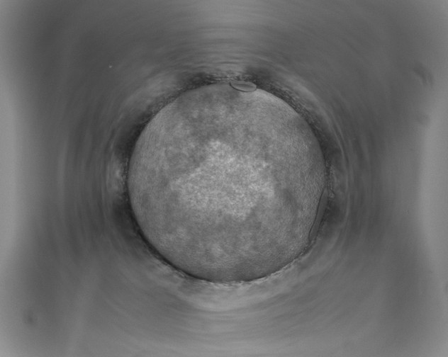 X0000112010037200908241504