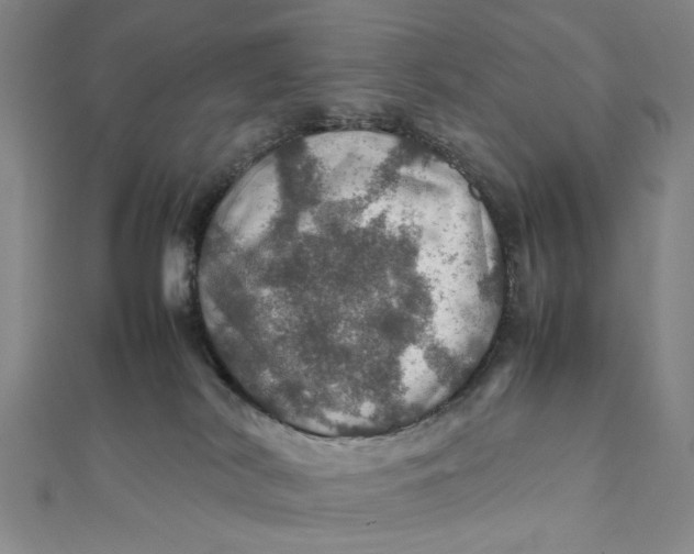 X0000112010038200908241504