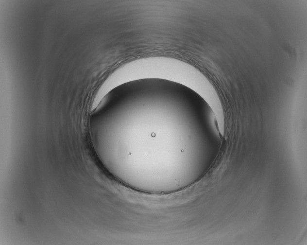X0000112010039200908241504