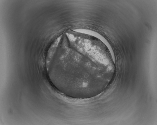 X0000112010040200908241504