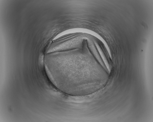 X0000112010041200908241504