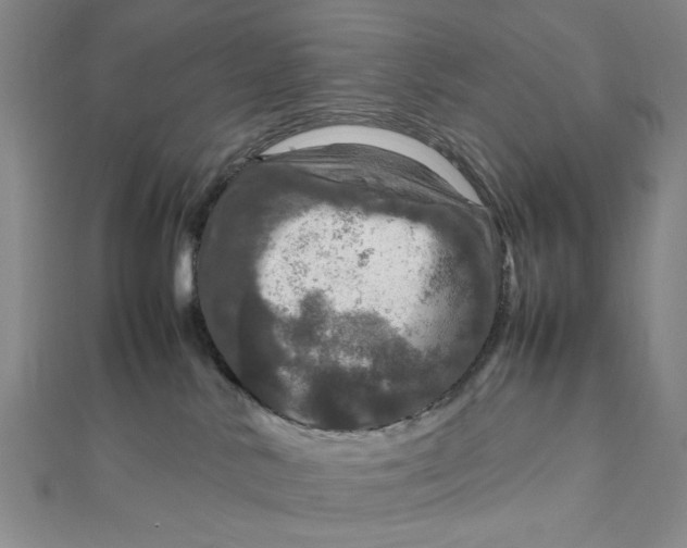 X0000112010042200908241504