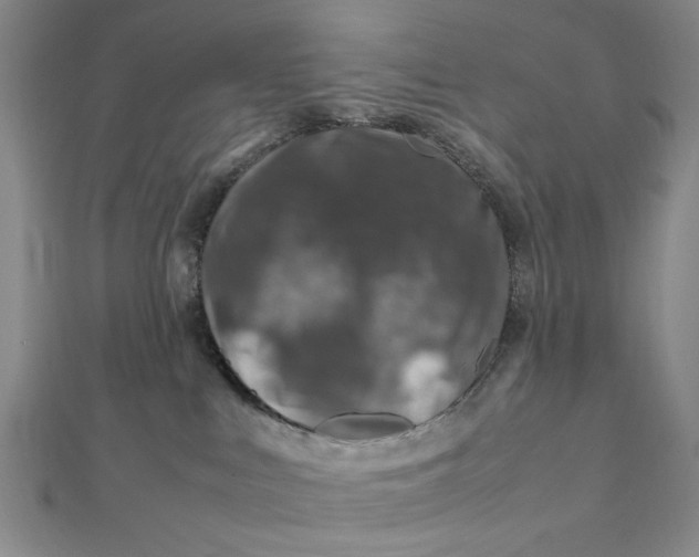 X0000112010043200908241504