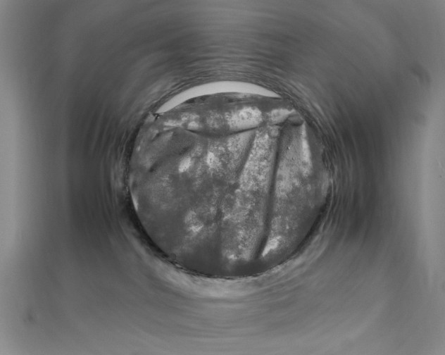 X0000112010044200908241504