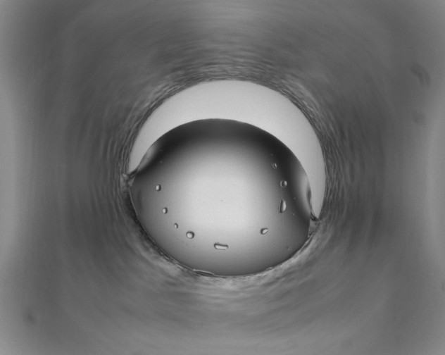 X0000112010045200908241504