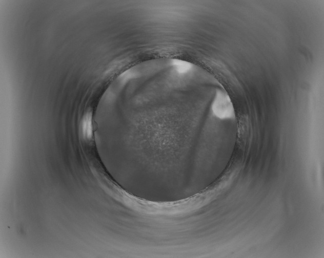 X0000112010046200908241504