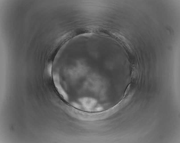 X0000112010047200908241504