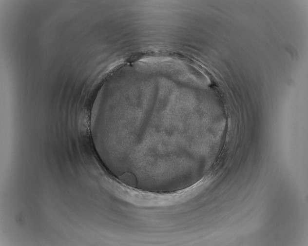 X0000112010048200908241504