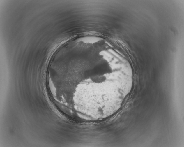 X0000112010049200908241503