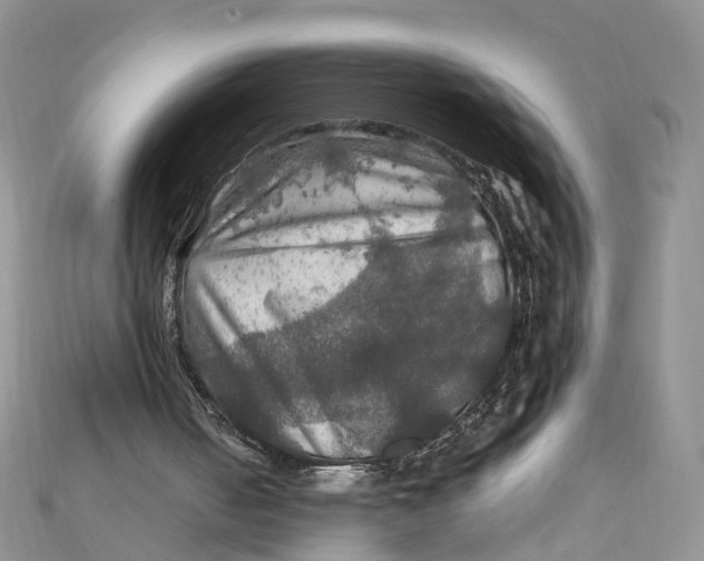 X0000112010050200908241503