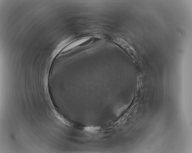 X0000112010051200908241503