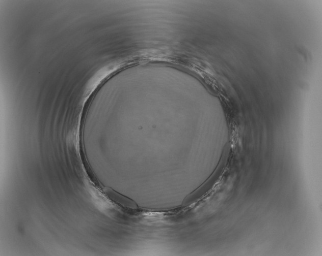 X0000112010052200908241503