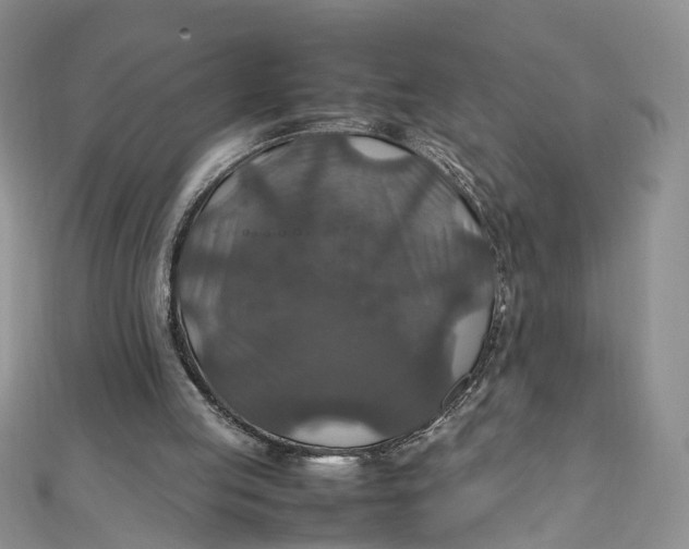 X0000112010053200908241503