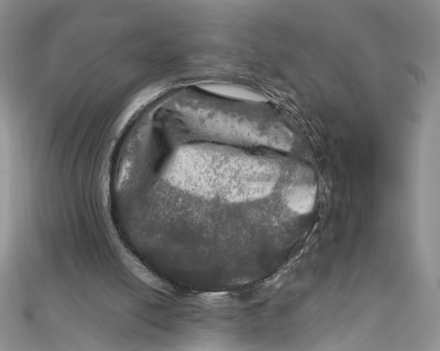 X0000112010054200908241503