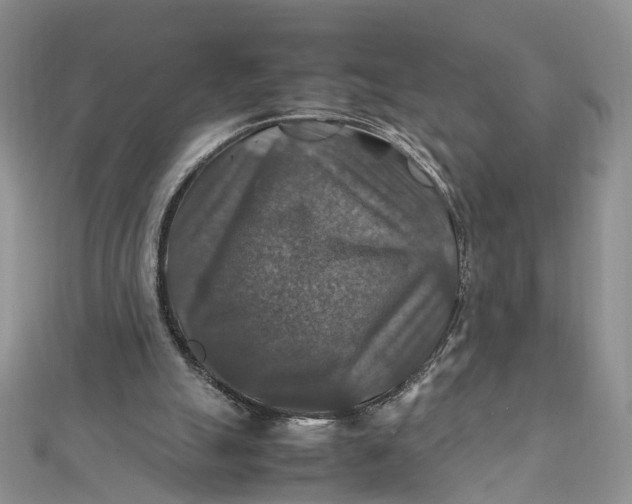X0000112010055200908241503
