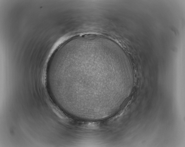 X0000112010056200908241503
