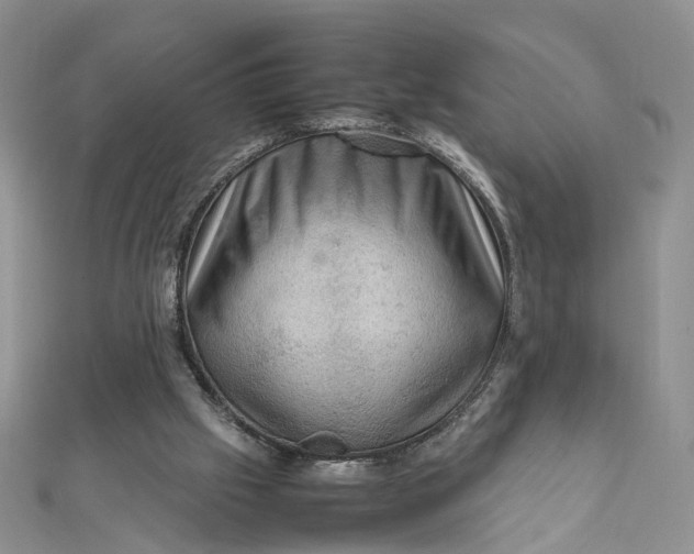 X0000112010057200908241503