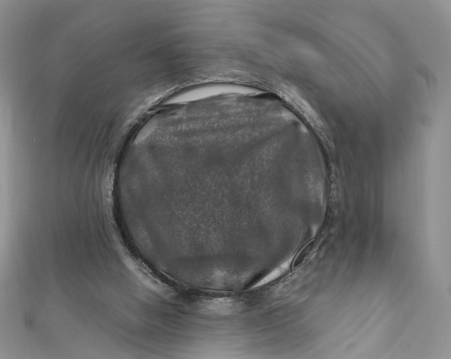X0000112010058200908241503