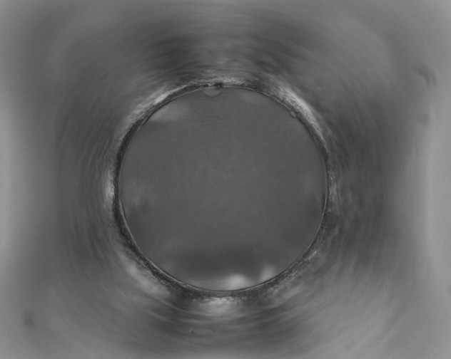 X0000112010059200908241503