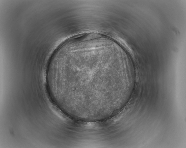 X0000112010060200908241503