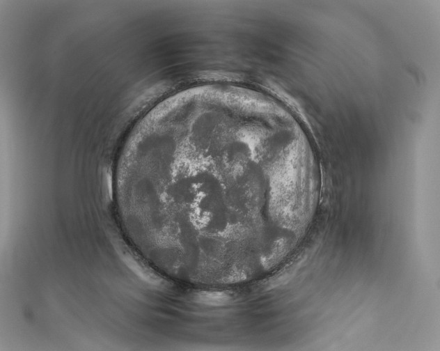 X0000112010061200908241503