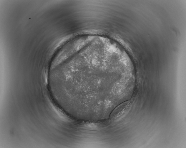 X0000112010062200908241503