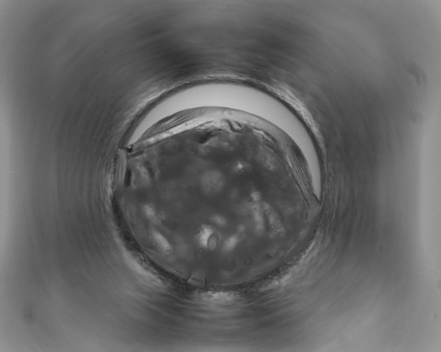 X0000112010063200908241503