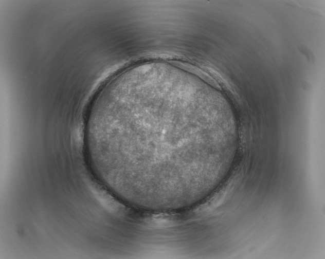 X0000112010064200908241503