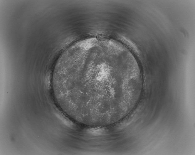X0000112010065200908241503