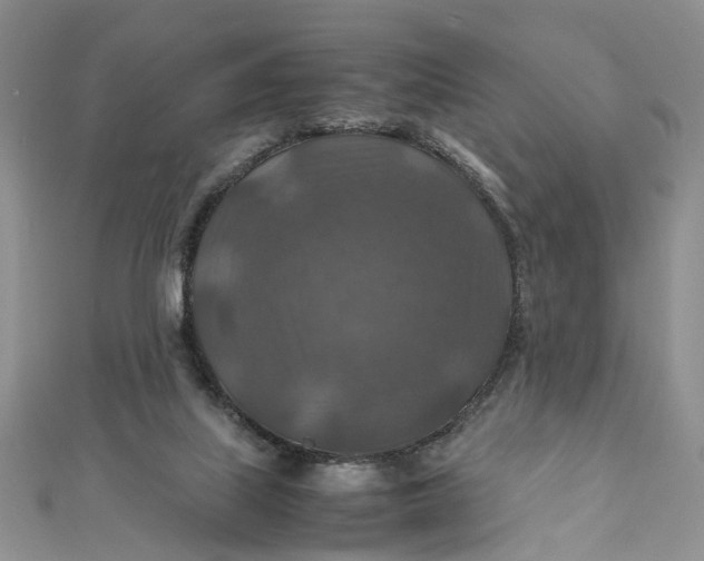 X0000112010067200908241503