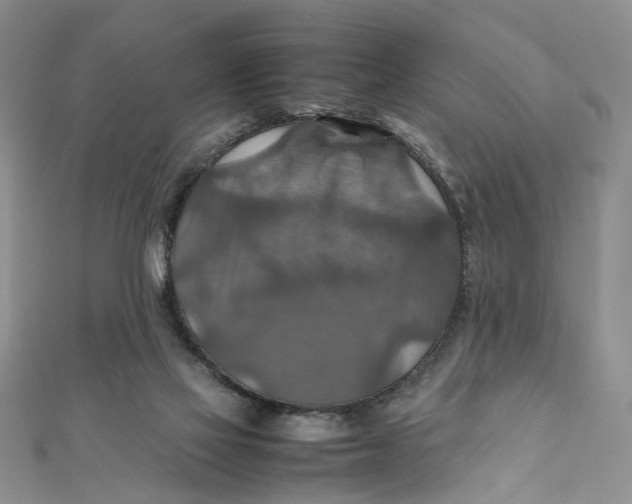 X0000112010069200908241503