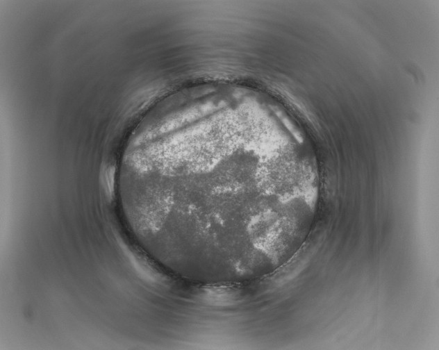X0000112010070200908241503
