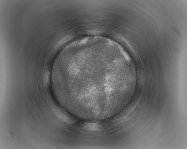 X0000112010071200908241503