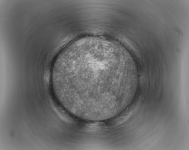 X0000112010072200908241503