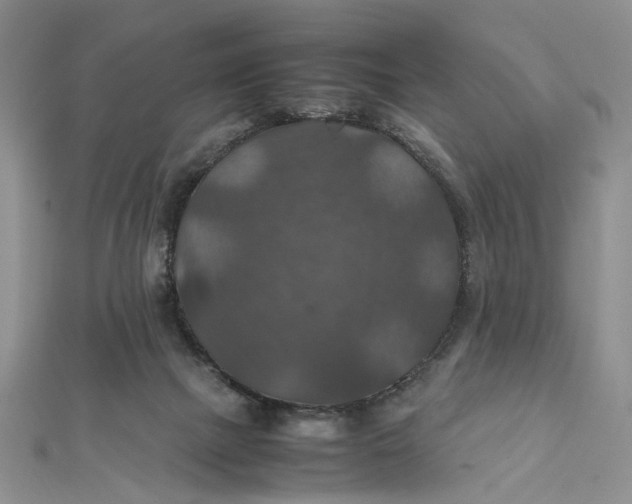 X0000112010073200908241503