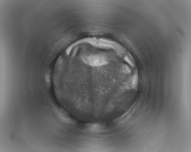 X0000112010074200908241503