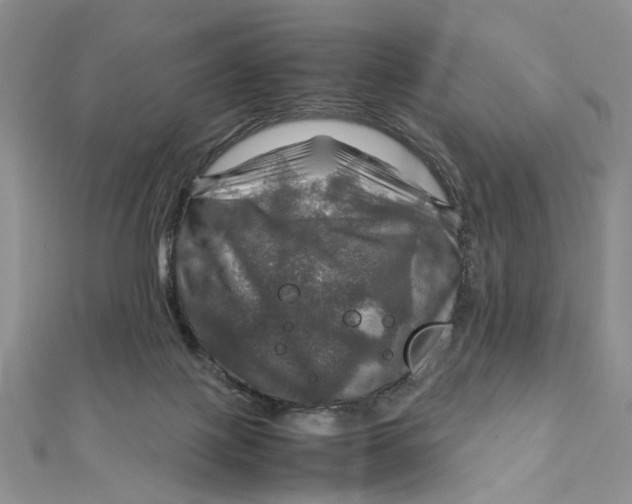 X0000112010075200908241503