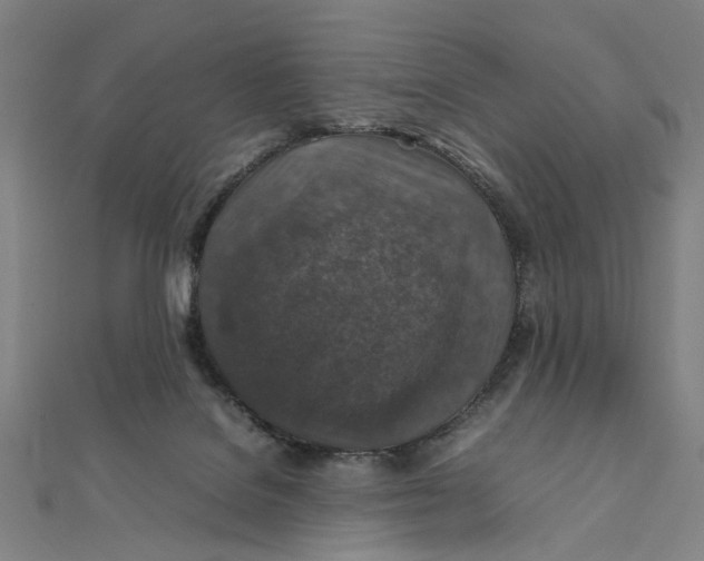 X0000112010076200908241503