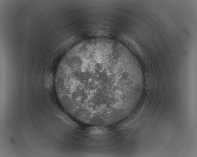 X0000112010077200908241503