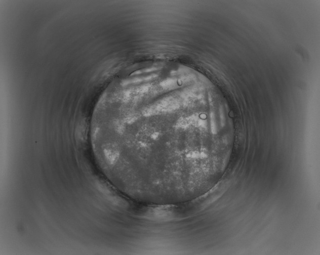 X0000112010078200908241503