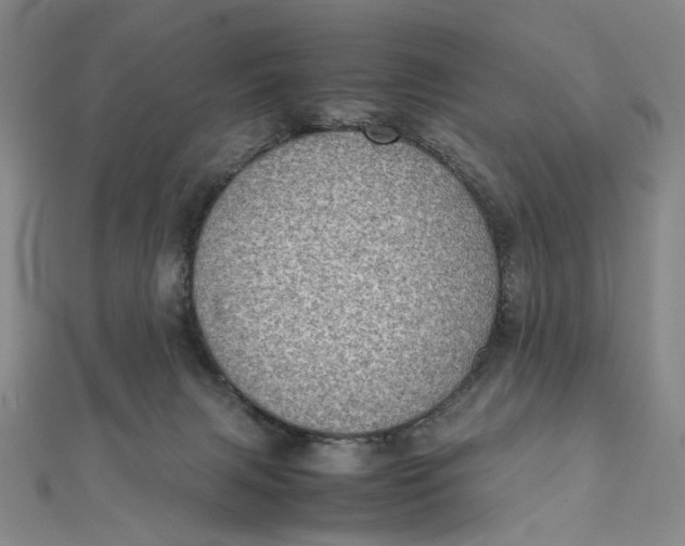 X0000112010079200908241503