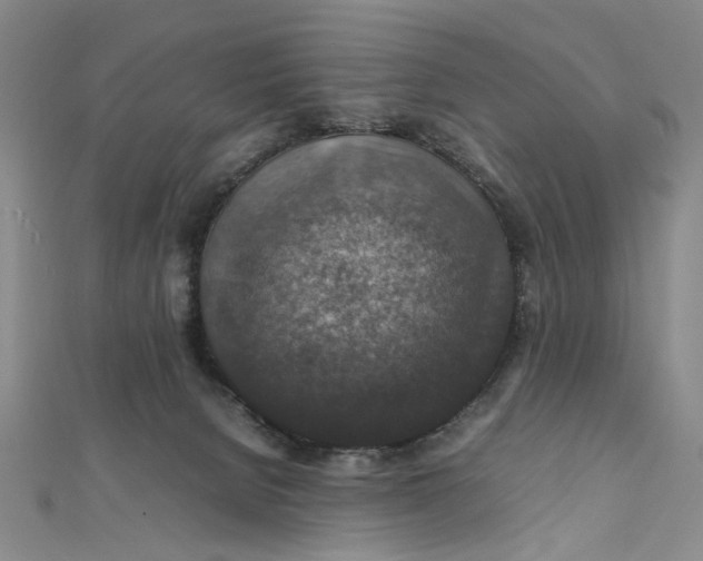 X0000112010080200908241503